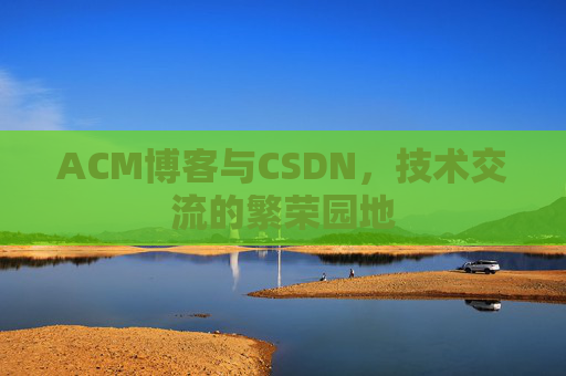 ACM博客与CSDN，技术交流的繁荣园地